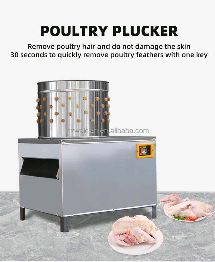 chicken machine